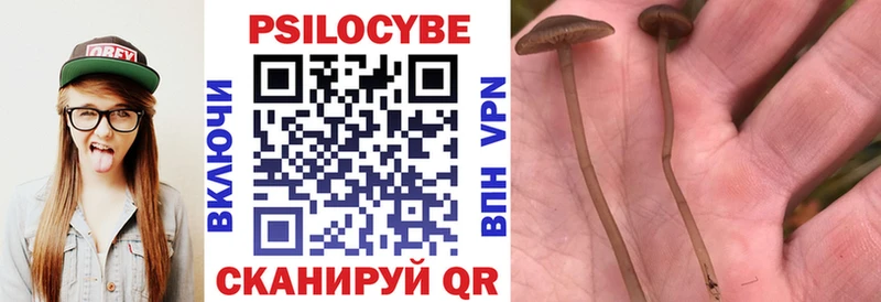 Галлюциногенные грибы мухоморы  OMG онион  Старая Купавна  купить закладку 